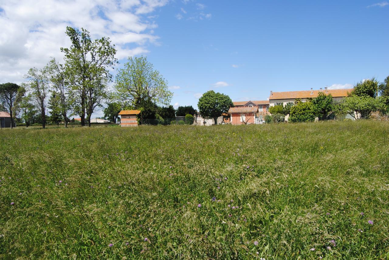 Le Mas Marguerite Arles Exterior photo